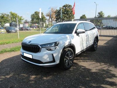 Gebraucht Skoda Kodiaq Selection 193 PS (141 kW) 2024 Weiß SUV
