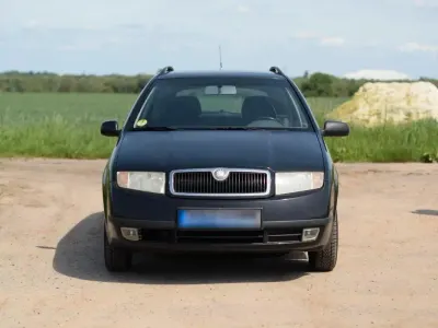 Brugt Skoda Fabia