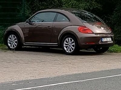 gebraucht VW Beetle 1.2 TSI Top Zustand