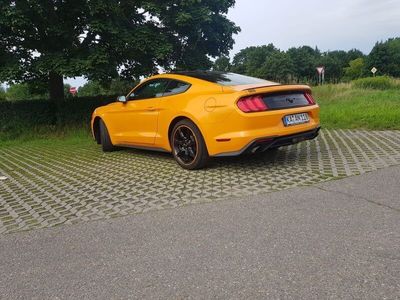 gebraucht Ford Mustang 