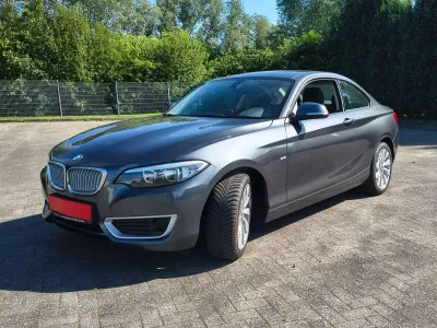 Gebraucht BMW 220 184 PS (135 kW) 2014 Mineralgrau Coupé