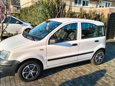 Gebraucht Fiat Panda 54 PS (39 kW) 2009 Weiß Kleinwagen