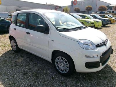 Nouă Fiat Panda Icon 69 CP (50 kW) 2026 Alb Hatchback