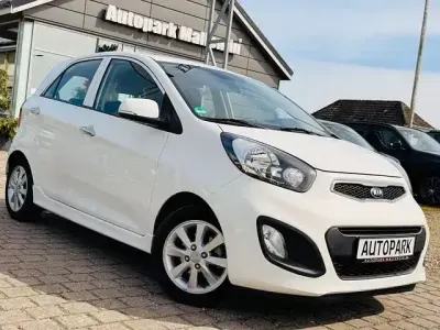 Usata Kia Picanto Spirit 67 CV (49 kW) 2014 Bianco Utilitaria