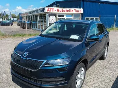 Neu Skoda Fabia Selection 95 PS (69 kW) 2026 Grau Kleinwagen