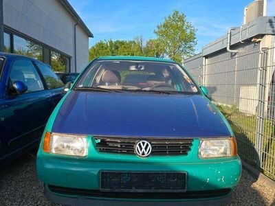 VW Polo