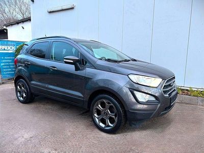 Gebraucht Ford Ecosport Cool & Connect 101 PS (74 kW) 2019 Grau SUV