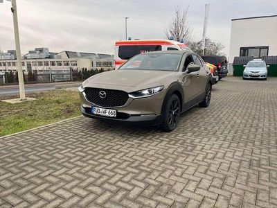 Gebraucht Mazda CX-30 Exclusive-Line 140 PS (102 kW) 2024 Zircon sand SUV