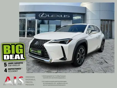 Gebraucht Lexus UX 250h 184 PS (135 kW) 2023 Sonic white SUV