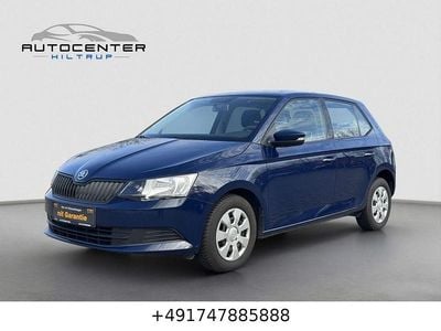 Blau Gebraucht 2018 Skoda Fabia Active Kleinwagen | 3.970 € (Guter Preis)