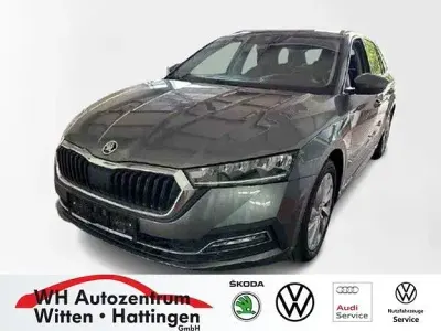 Gebraucht Skoda Octavia Style 150 PS (110 kW) 2024 Graphitegrau metallic Kombi