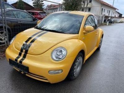 VW Beetle