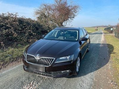 Braun Gebraucht 2017 Skoda Superb Business Line Kombi | 13.900 € (Fairer Preis)