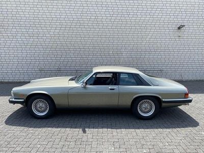 Grün Gebraucht 1989 Jaguar XJS | 24.900 €