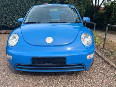VW Beetle