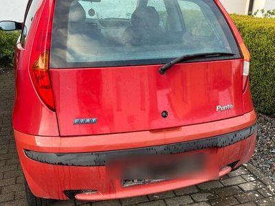 gebraucht Fiat Punto 