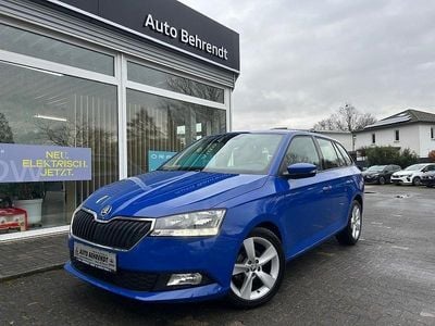 Gebraucht Skoda Fabia Active 95 PS (69 kW) 2022 Blau Kleinwagen