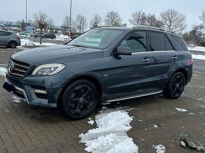Blau Gebraucht 2012 Mercedes ML350 SUV | 13.500 € (Etwas zu teuer)