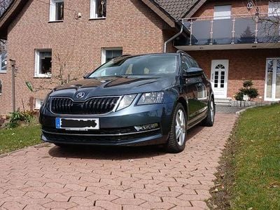 Gebraucht Skoda Octavia Style 150 PS (110 kW) 2019 Grau Kombi
