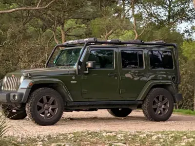 Gebraucht Jeep Wrangler 200 PS (147 kW) 2017 Grün SUV