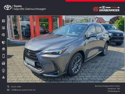 Gebraucht Lexus NX350h Executive Line 243 PS (178 kW) 2025 Grau SUV