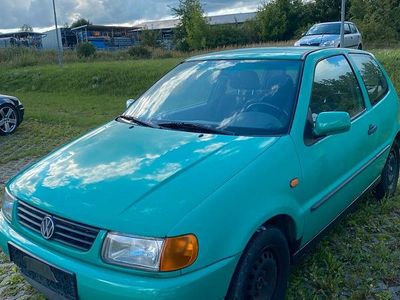 VW Polo