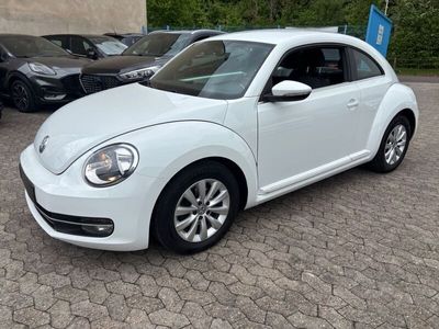 VW Beetle