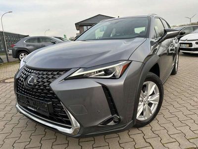 gebraucht Lexus UX 250h Hybrid Luxury* Nachlackierungsfrei