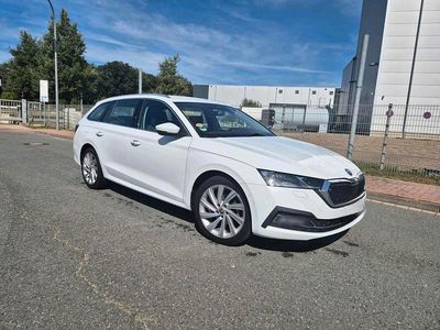 Gebraucht Skoda Octavia First Edition 150 PS (110 kW) 2021 Weiß Kombi