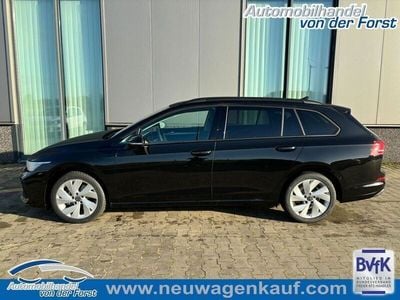Gebraucht VW Golf VIII Basis 116 PS (85 kW) 2024 Wählbar Limousine