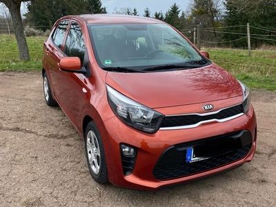 gebraucht Kia Picanto 1.2 Edition 7