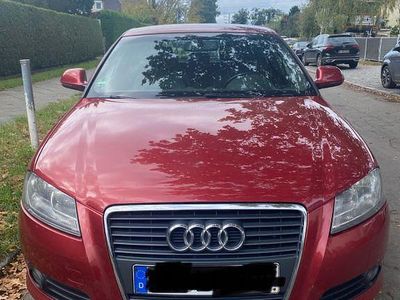 Gebraucht Audi A3 Ambition 170 PS (125 kW) 2009 Rot Kleinwagen