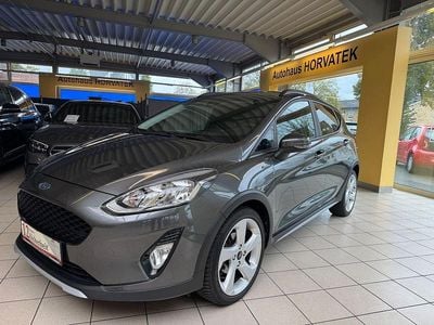 Gebraucht Ford Fiesta Active 125 PS (91 kW) 2019 Grau Limousine
