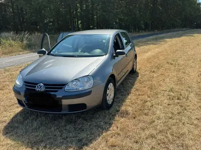 Gebraucht VW Golf V Comfortline 102 PS (75 kW) 2008 Grau Kleinwagen