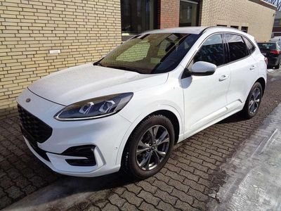 Gebraucht Ford Kuga ST-Line X 150 PS (110 kW) 2020 Weiß SUV