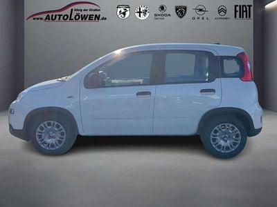 Fiat Panda Cross