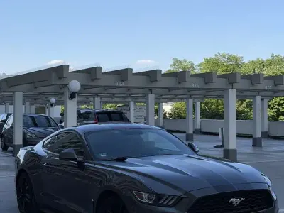 Occasion Ford Mustang