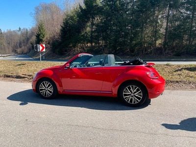 VW Beetle