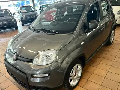 Usata Fiat Panda