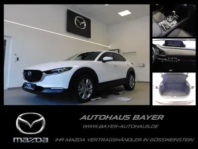 Gebraucht Mazda CX-30 Selection 122 PS (89 kW) 2020 Weiß SUV