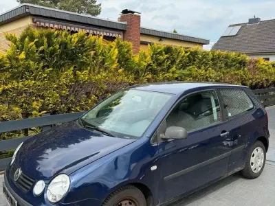 Usata VW Polo
