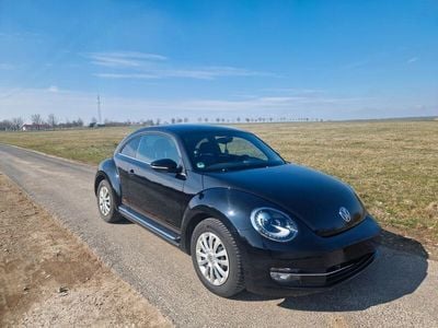 VW Beetle