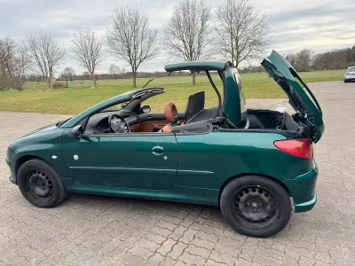 Używany Peugeot 206 110 KM (80 kW) 2006 Zielony Kabriolet