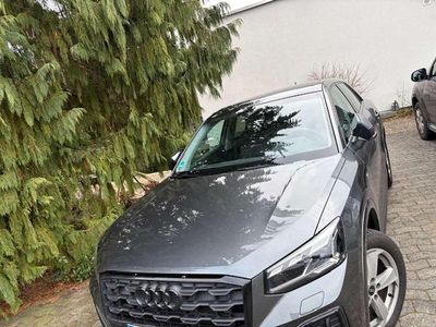 Gebraucht Audi Q2 S-Line 150 PS (110 kW) 2024 Grau SUV