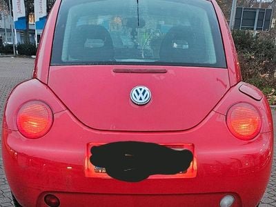 VW Beetle
