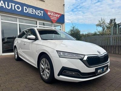 Gebraucht Skoda Octavia Style 116 PS (85 kW) 2023 Candyweiss Kombi