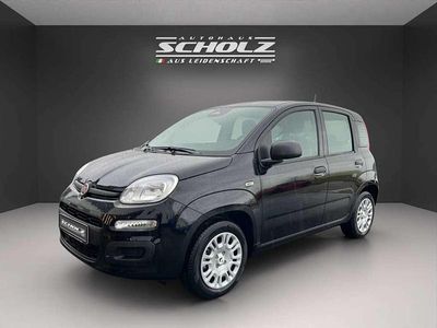 Neu Fiat Panda Icon 65 PS (47 kW) 2025 Schwarz Kleinwagen