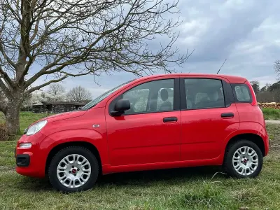 Brugt Fiat Panda 69 HK (50 kW) 2018 Rød Hatchback