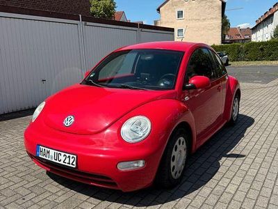 VW Beetle