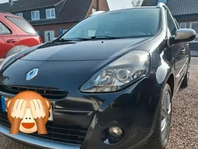 Brugt Renault Clio II